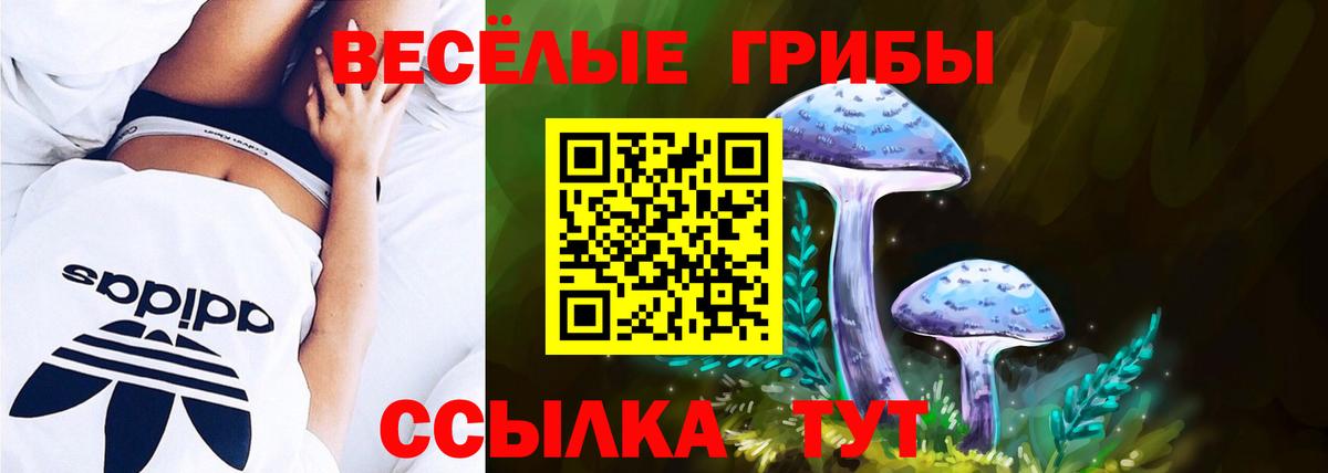 Псилоцибиновые грибы Psilocybine cubensis Тольятти